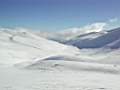 DSCN4117.JPG