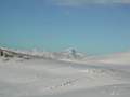 DSCN4132.JPG