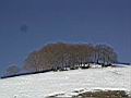 DSCN1702.JPG
