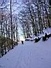 DSCN1738.JPG